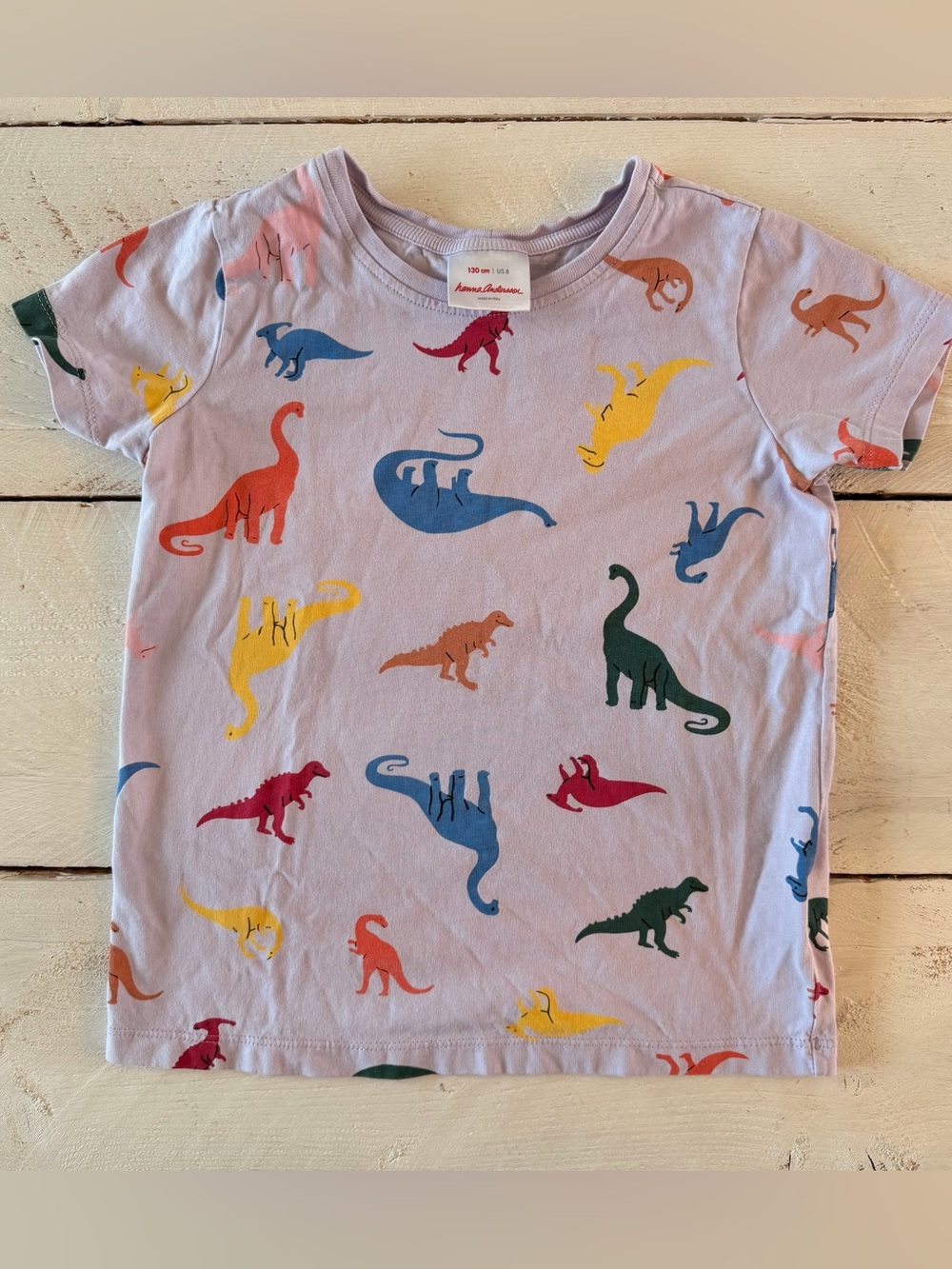 Hanna Andersson Girls Dinosaur Tee